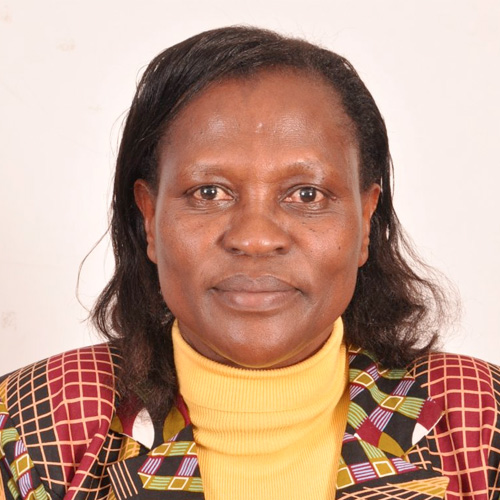 Prof. Eunice Kamaara - Moi University